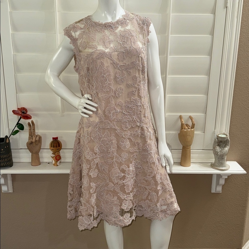 Tadashi Shoji TAMURA Embroidered Lace Dress Blush Pink